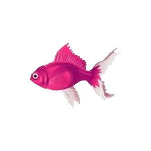 Charm Pink Goldfish